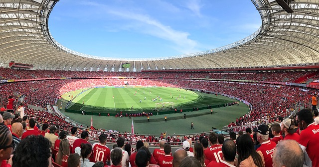 马德兴：塞鸟并非救世主 国足赴沙特需更谨慎.