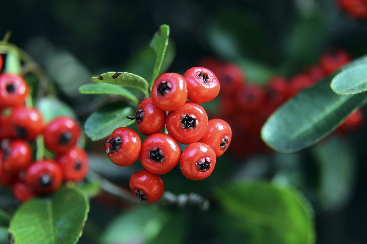 现这两支球 现这两支球