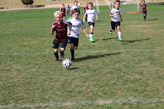 在菲尼克斯 在菲尼克斯