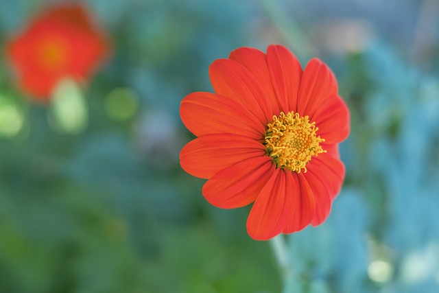 通过快速传 通过快速传