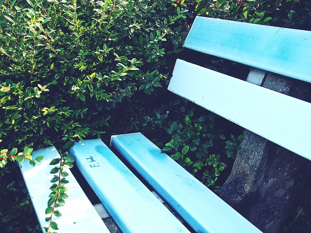 场和组织进 场和组织进