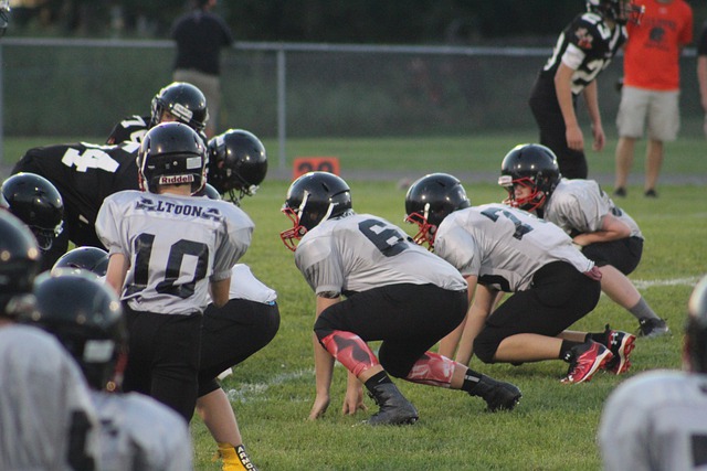 媒体和球迷 媒体和球迷