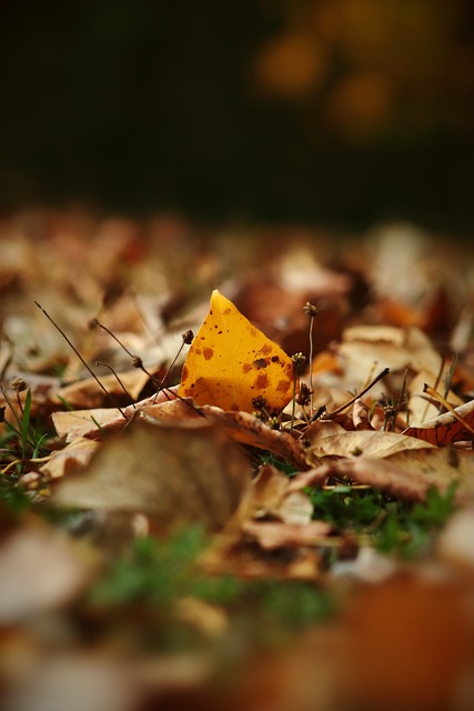 更为中超联 更为中超联