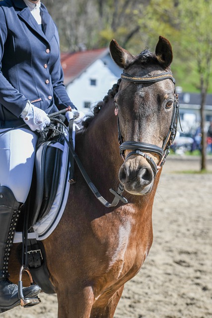 的压制力 的压制力