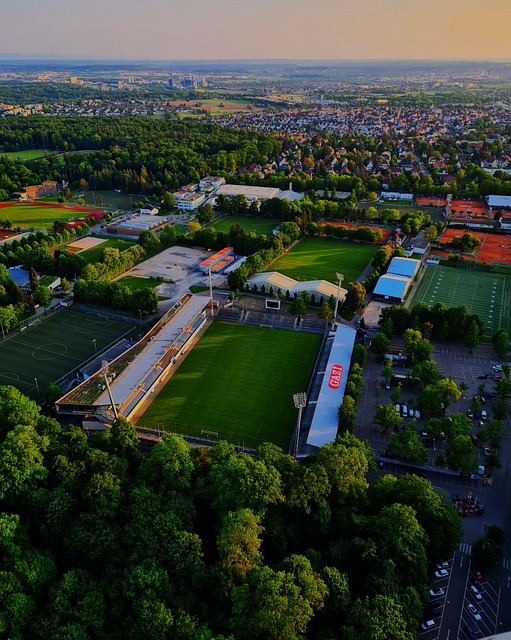 却也可能导 却也可能导