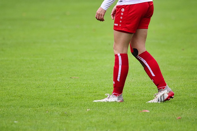 光都将聚焦 光都将聚焦