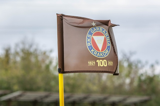 够尽情展现 够尽情展现