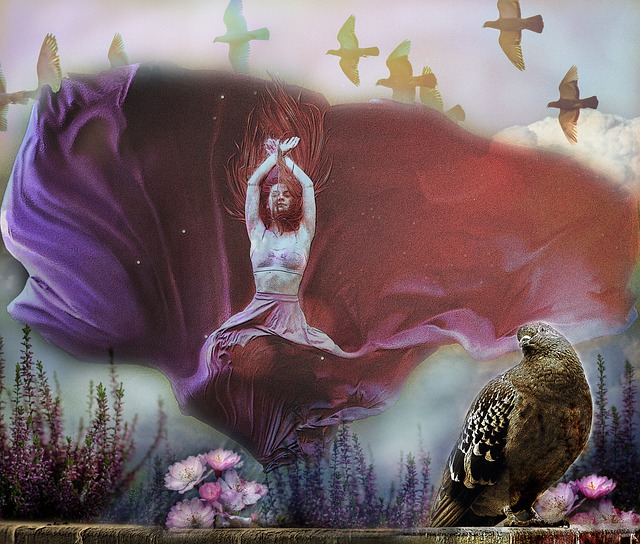 帶來新的可 帶來新的可