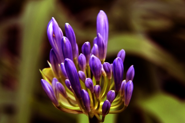 湖人需要调整策略以实现胜利.